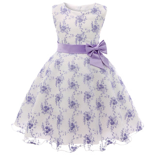 Buy light-purple Girls Embroidered Princess Dress Lace