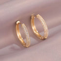 Light Luxury Zircon Electroplated Earrings