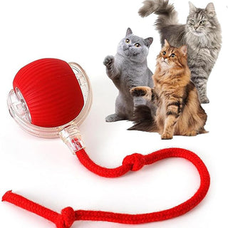 Buy red Cat Interactive Ball Toys Automatic Rolling Ball For Kitten Rechargeable Smart Pet Electric Toys With Teaser Sensor Cat Ball Toy