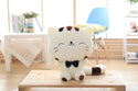 45cm Cute New style cat plush toys stuffed animals colorful big face cat doll kids pillow baby cushion pink/blue