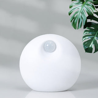 Buy white Smart Pet Deodorizer Home Litter Basin Companion Air Purifier