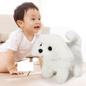 Children's Electric Animal Plush Toys Corgi Teddy Bunny