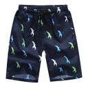 Mens Quick Dry Swim Shorts