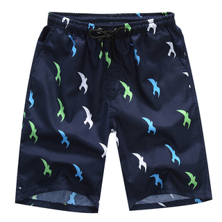 Buy seagulls Mens Quick Dry Swim Shorts