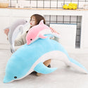 Dolphin plush play