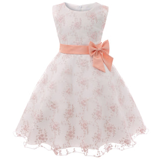 Buy peach-powder Girls Embroidered Princess Dress Lace