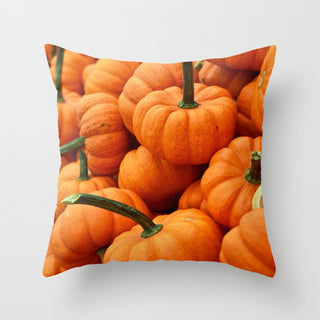 Buy 9-style Halloween pumpkin pillowcase