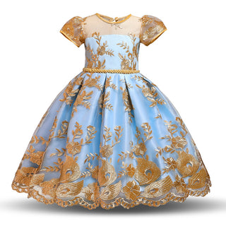 Girls puffy princess dress