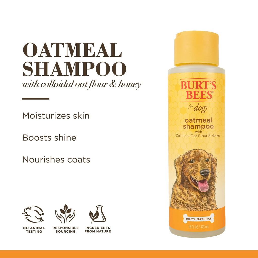 Burt's Bees Oatmeal Dog Shampoo with Colloidal Oat Flour and Honey 16 Oz