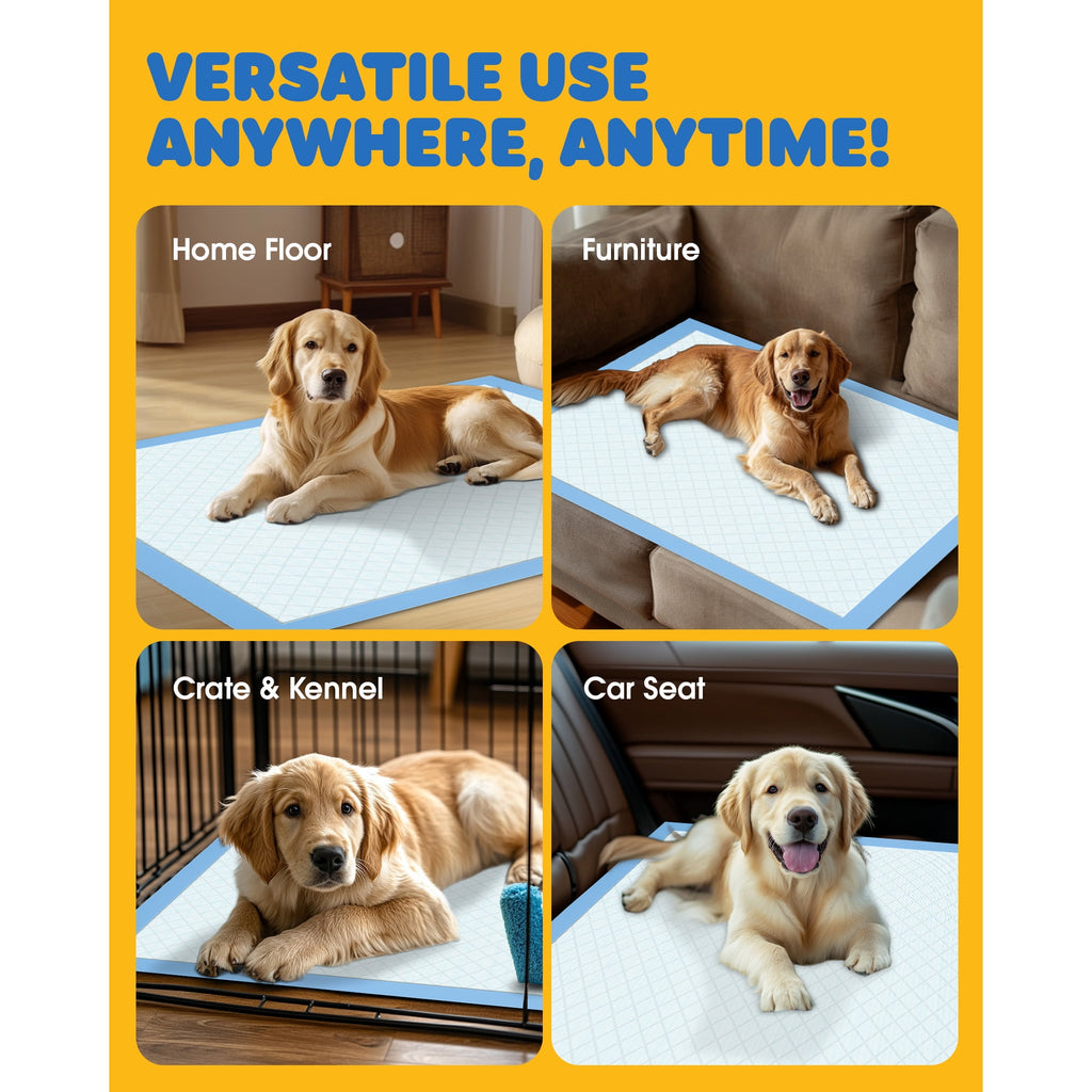 Powools Puppy Pads, Large 22" x 22", Super Absorbent 6-Layer Dog Pads, 100 Count