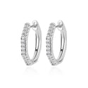 Women's Light Luxury And Simplicity Special-interest Earrings