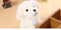 Pet doll teddy dog toy