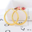 High Profile Fashion Simple Glossy Big Circle Earrings