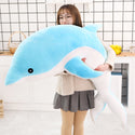 Dolphin plush play