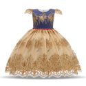 Girls puffy princess dress