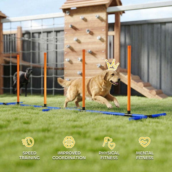 Dog Agility Training Equipment Adjustable Poles for Dog Agility Course with Carry Bag