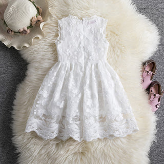 Buy white Girls lace princess dress