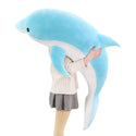 Dolphin plush play