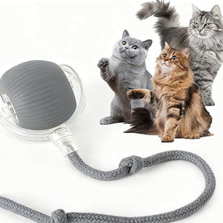 Buy grey Cat Interactive Ball Toys Automatic Rolling Ball For Kitten Rechargeable Smart Pet Electric Toys With Teaser Sensor Cat Ball Toy