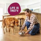 Kibbles 'n Bits Dry Dog Food, Savory Bacon & Steak Flavor for Adult Dogs