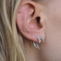 Women's Casual Simple Horn Ins Style Earrings