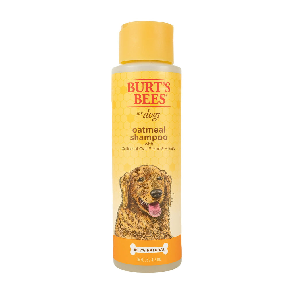 Burt's Bees Oatmeal Dog Shampoo with Colloidal Oat Flour and Honey 16 Oz
