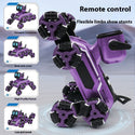 Intelligent Mechanical Dog Changeable Remote Control Singing Toy