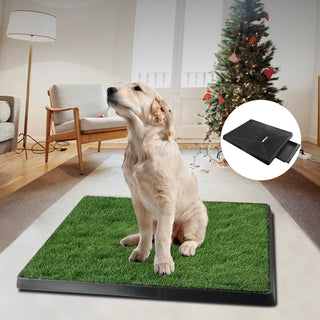 Buy black 1Pc Dog Potty Training Artificial Grass Pad Pet Cat Toilet Trainer Mat Puppy Loo Tray Turf For Small Medium Dogs Indoor Outdoor Use