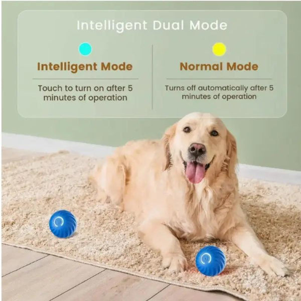 Blue And Orange Pet Bouncing Ball Fun Pet Bouncing Ball For Cats And Dogs,Self-pickup Only