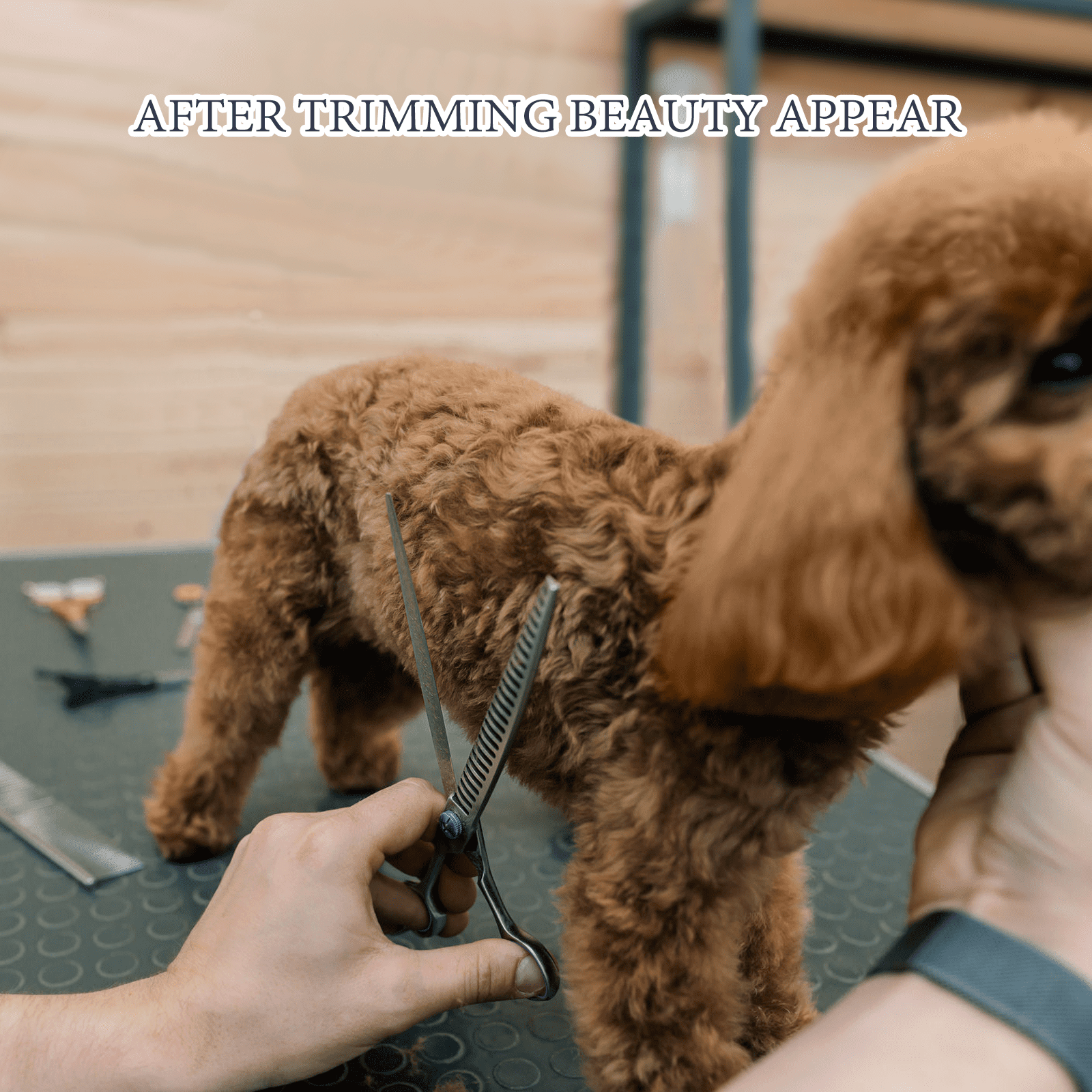 XUEYU 6-in-1 Dog & Cat Grooming Scissors Kit – Stainless Steel, Sharp, Safety Tips (Blue)