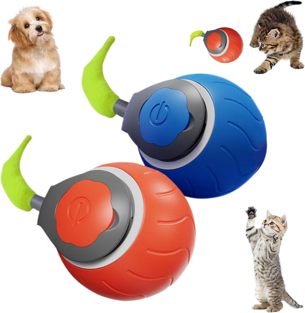 Cat toys
