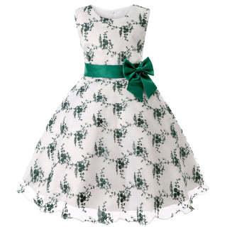 Buy green Girls Embroidered Princess Dress Lace