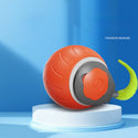 Speedy Tail Cat Toy,Interactive Cat Toy For Indoor Cats,Cat Ball Toy,Interactive Cat Toy Ball,Two Speed Adjustment,USB Rechargeable