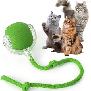 Buy green Cat Interactive Ball Toys Automatic Rolling Ball For Kitten Rechargeable Smart Pet Electric Toys With Teaser Sensor Cat Ball Toy