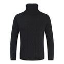 Men Solid Colored Turtleneck Sweater