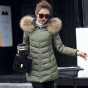 Slim Cotton-Padded Hooded Winter Jacket