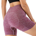 Women Yoga Sports Shorts