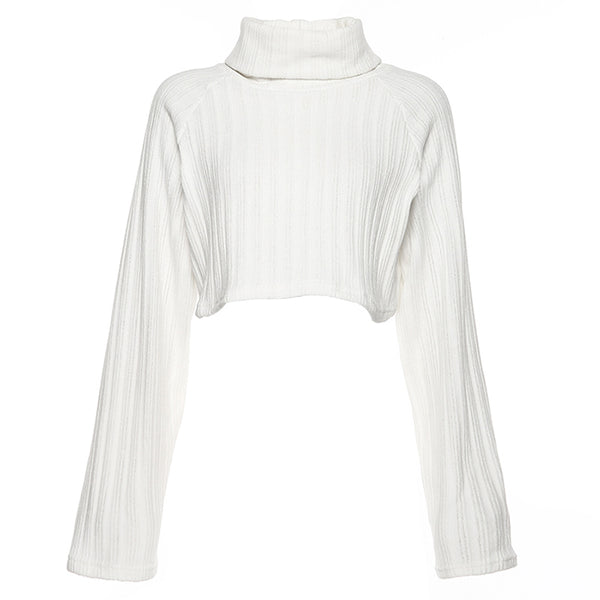 Women Turtleneck Cropped Sweater