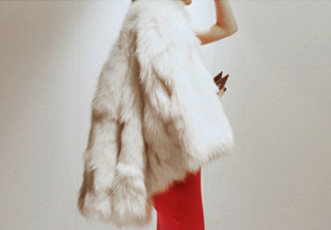 Women Stand Collar Fur Slim Jacket