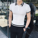 Men Casual Thin Polo Shirts