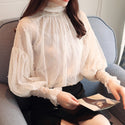 Lantern Sleeve Mesh Chiffon Top