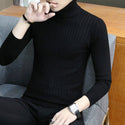 Men Slim-fit High Neck Sweater