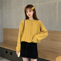 Round Neck Trimmed Hedge Cardigan Sweater