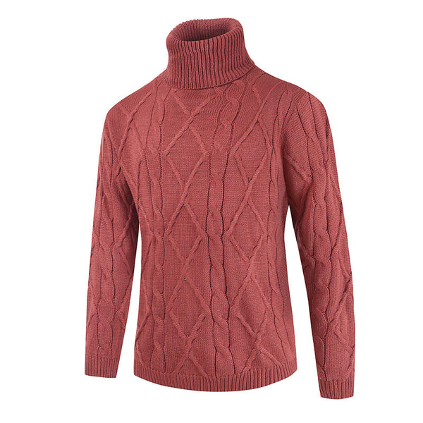 Men Solid Colored Turtleneck Sweater