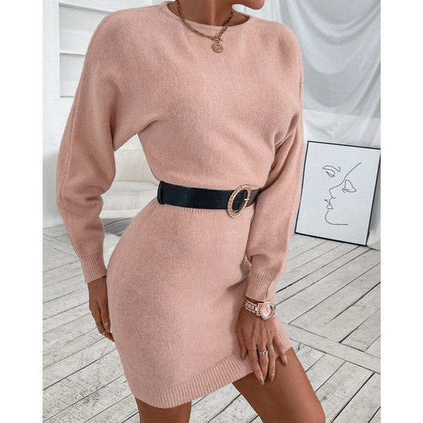 Women Crew Neck Sweater Dress