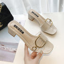 Women Thick High-Heel Transparent Slippers